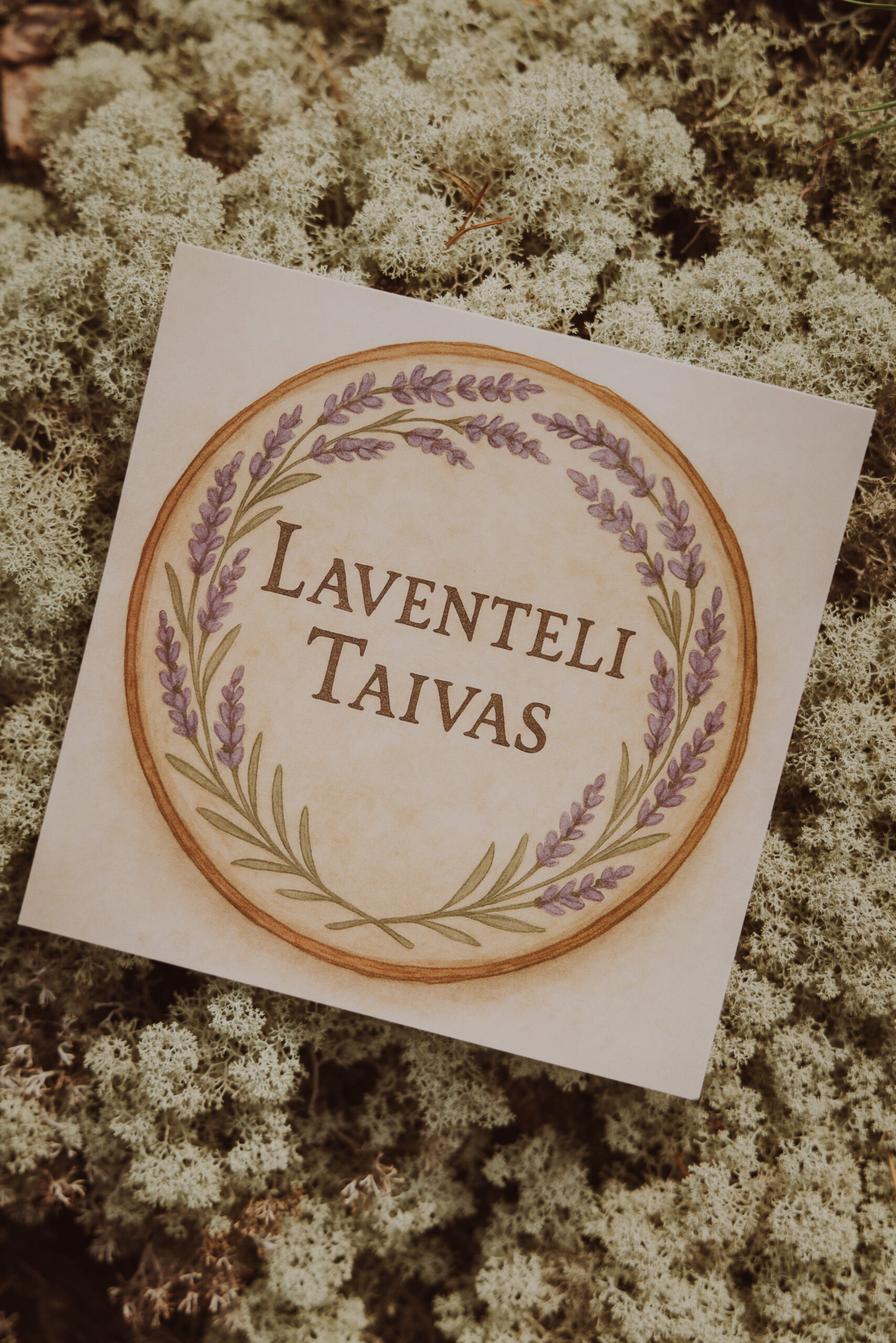 LAVENTELI TAIVAS   |   Heini Laitinen 